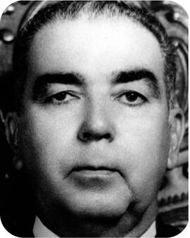 Paranahyba Pirapitinga